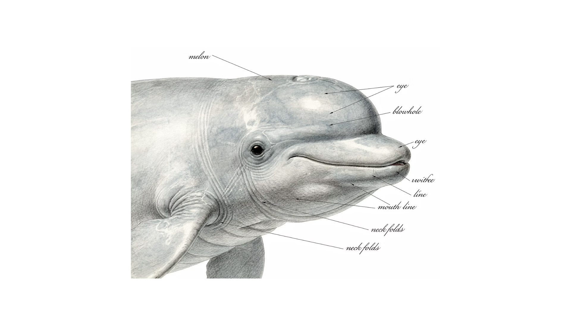 Feedback that boosts performance: 6+1 ground rules for senior executives